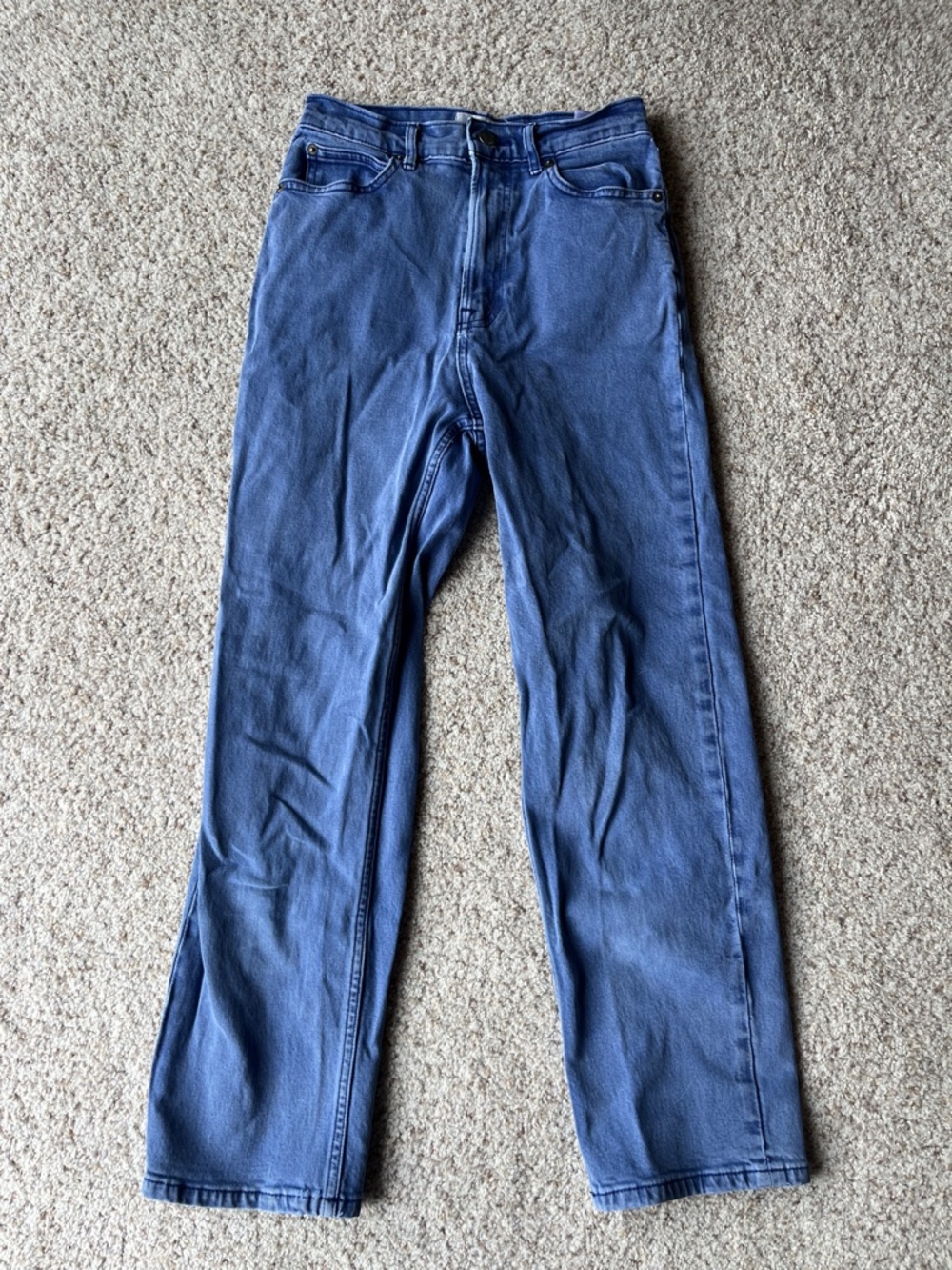 Everlane The Way High Straight Jean